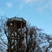 Uitkijktoren Oranjewoud