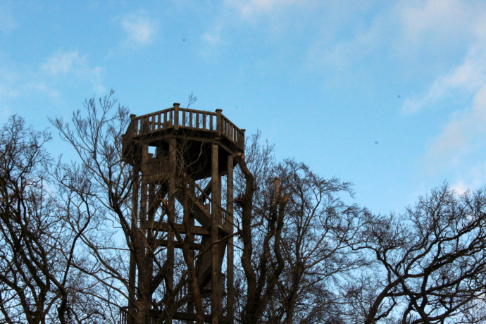 Uitkijktoren Oranjewoud
