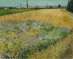 Vincent van Gogh, 'Korenveld', 1888, olieverf op doek, 54 x 65 cm, Van Gogh Museum, Amsterdam (Vincent van Gogh Stichting)